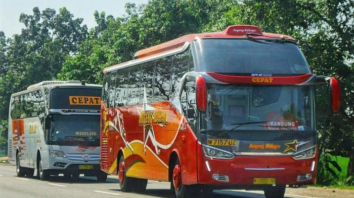 Bus Eka dan Sugeng Rahayu.