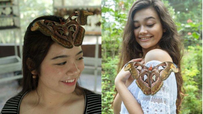 Butterfly Park, tempat wisata di Bali untuk liburan akhir pekan