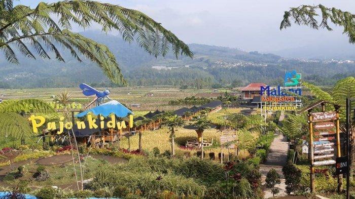 Cafe Sawah Pujon Kidul bisa jadi pilihan wisata saat liburan ke Malang