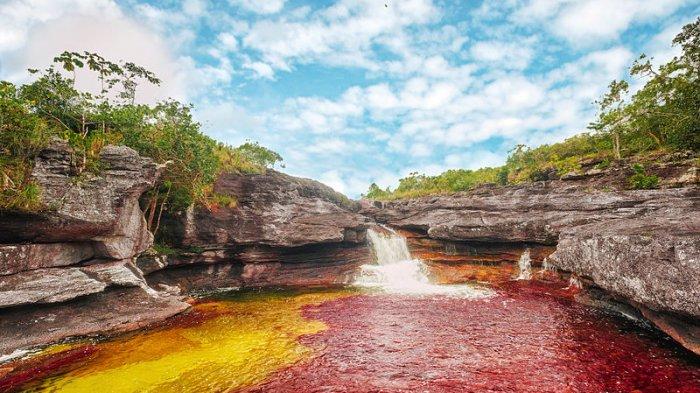 Cano Cristales River, satu tempat wisata di dunia yang serasa berada di planet lain.