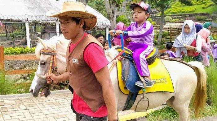 Cimory Dairyland menghadirkan mini zoo yang dilengkapi hewan peternakan.