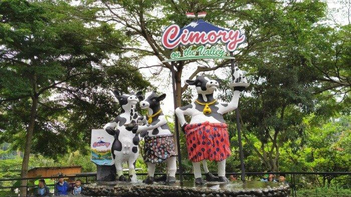 Patung sapi di Cimory On The Valley Semarang yang instagramable.