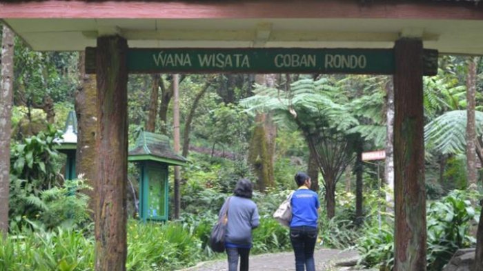 Wana Wisata Coban Rondo di Malang, Jawa Timur.