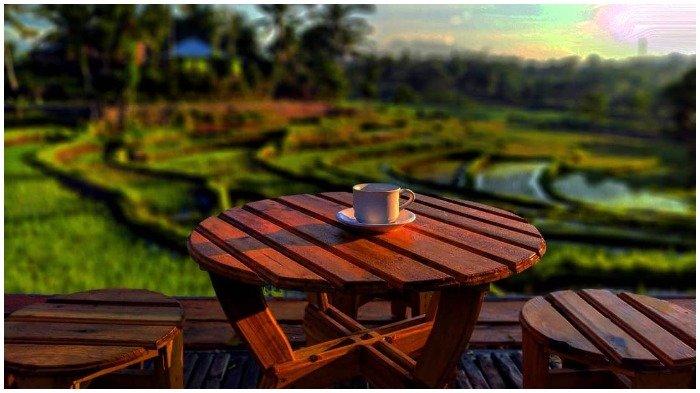 TRAVEL UPDATE: Seruput Kopi di Praja Coffee Loyok, Tempat Ngopi di ...