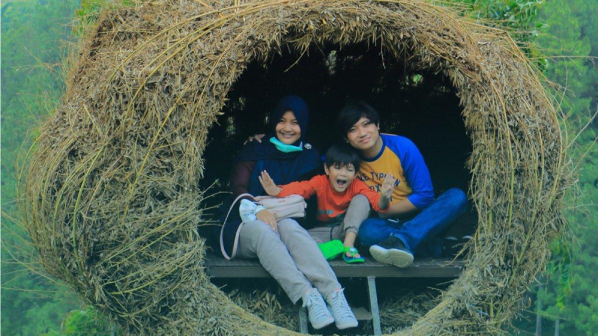 Dago Dream Park.