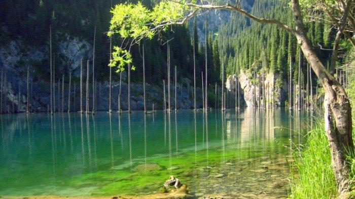 Danau Kaindy di Kazakstan . Danau pegunungan seperti ini terbentuk setelah tanah longsor menghalangi sungai pegunungan. Batangnya adalah pohon Picea schrenkiana yang mati .
