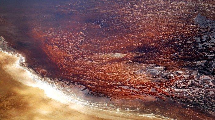 Danau Natron, satu tempat wisata di dunia yang serasa berada di planet lain.