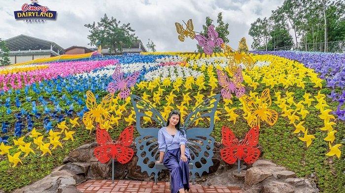 Spot foto De Windmills di Dairyland Farm Theme Park Prigen.