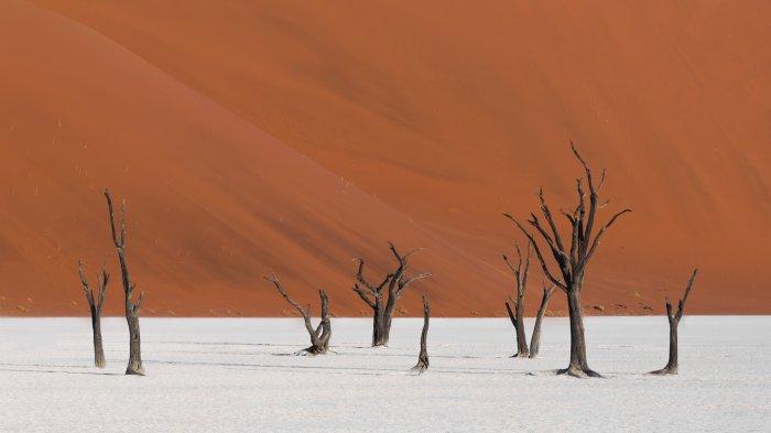 Deadvlei, Sossusvlei, satu bukit pasir yang unik di dunia.