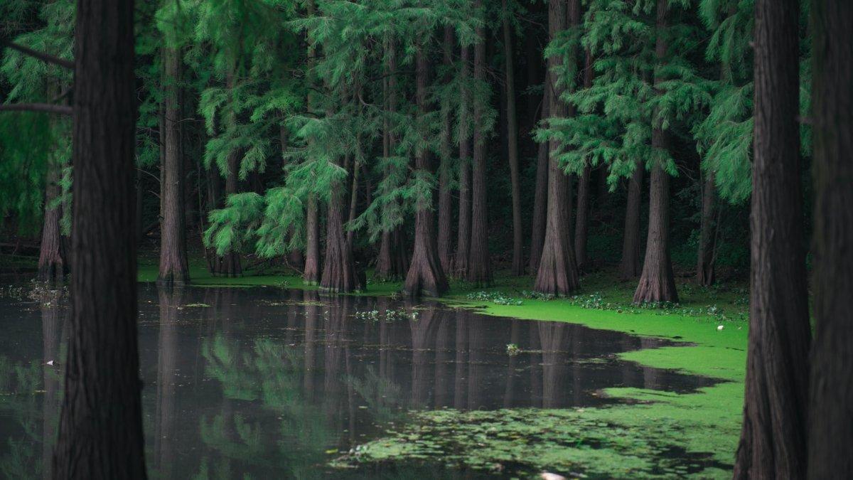 Ilustrasi danau misterius