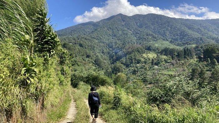 Seorang wisatawan sedang trekking di jalur trekking kaki Gunung Salak yang berlokasi di Desa Pasirjaya, Kecamatan Cigombong, Kabupaten Bogor.