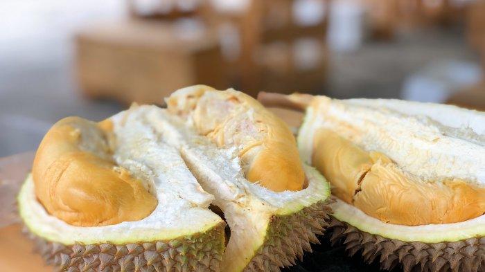 Ilustrasi durian.