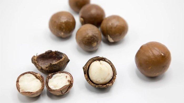 Kacang Kering, satu bahan makanan yang tak pernah kadaluwarsa.
