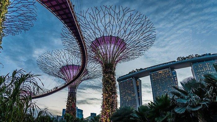 Gardens by the Bay Singapura, destinasi yang dinobatkan sebagai taman terindah di dunia.