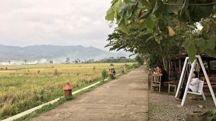 Lokasi Geblek Pari bersisian dengan area persawahan.
