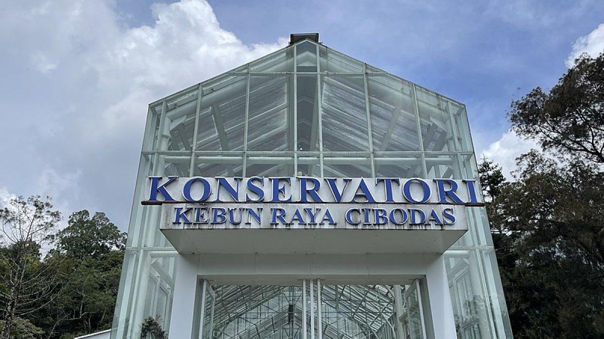 Kebun Raya Cibodas berlokasi di Jalan Kebun Raya Cibodas, Cimacan, Cipanas, Cianjur, Jawa Barat.