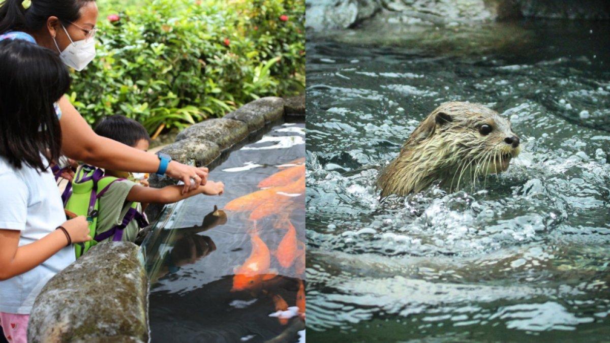 Gembira Loka Zoo lengkap dengan harga tiket masuk, hotel terdekat dan tempat sewa motor di Jogja.