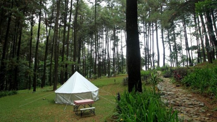 Wisata Alam Gunung Pancar.