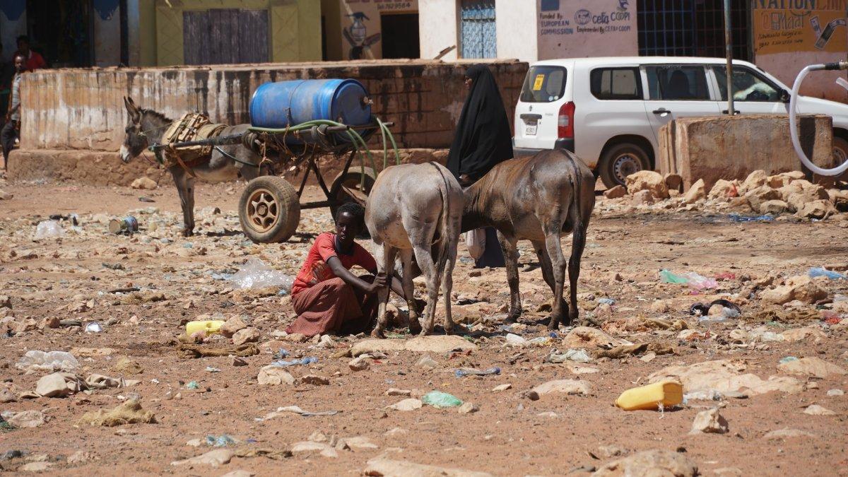 Goldogob, Somalia