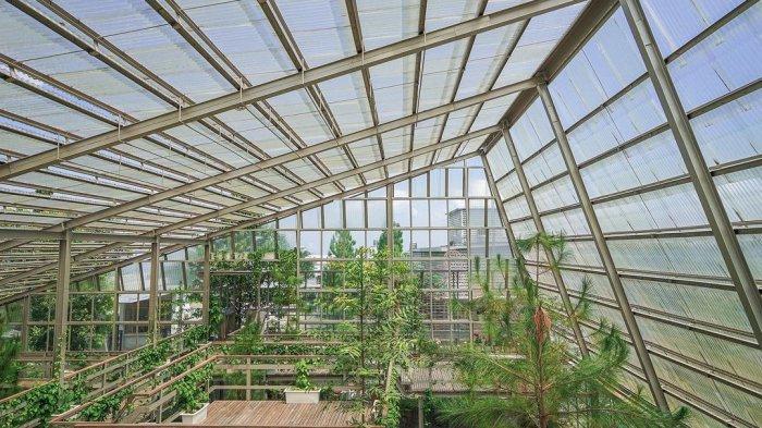 Greenhouse di Rumah Atsiri Indonesia