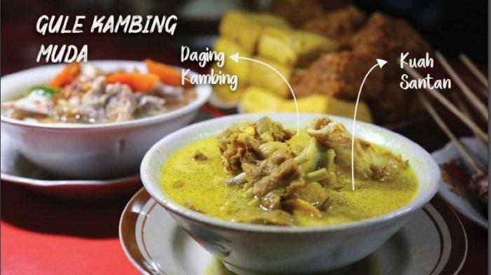 Ilustrasi gule kambing.