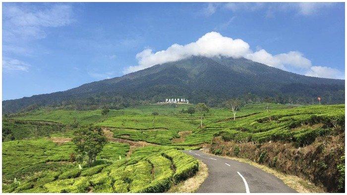 Gunung Dempo.