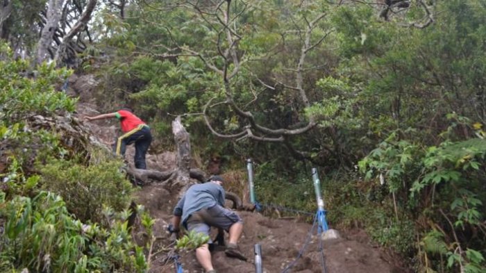 Salah satu jalur terjal yang dilalui saat mendaki Gunung Gede, Taman Nasional Gede Pangrango, Bogor, Jawa Barat