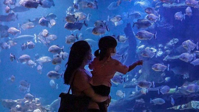 Pengunjung yang liburan akhir pekan di Sea World Ancol.