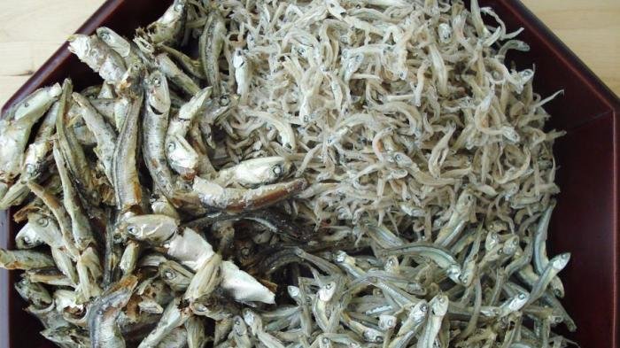 Ikan teri