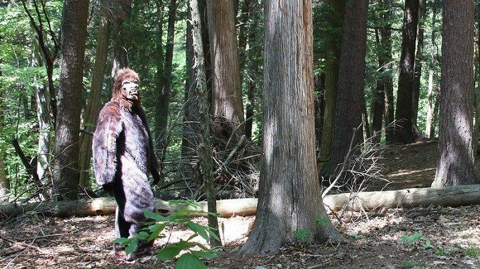 Bigfoot adalah makhluk misterius mirip kera yang menghuni hutan-hutan di kawasan Barat Daya Pasifik, Amerika Utara.
