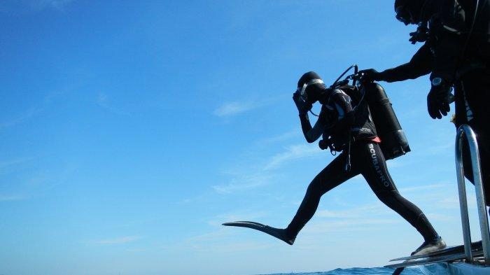Ilustrasi diver yang hendak menyelam