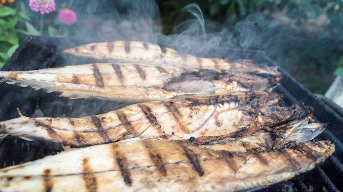 Ilustrasi ikan bakar.
