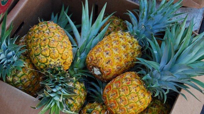 Ilustrasi nanas.