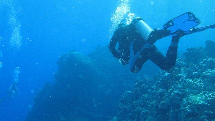 Ilustrasi pelancong yang lagi scuba diving di laut lepas.