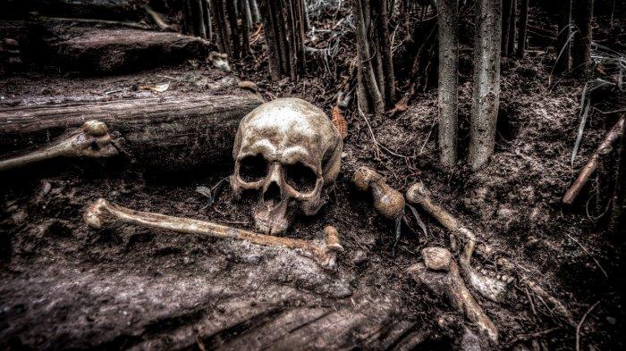 Ilustrasi Tengkorak manusia. Viral penemuan kuburan 'zombi'.