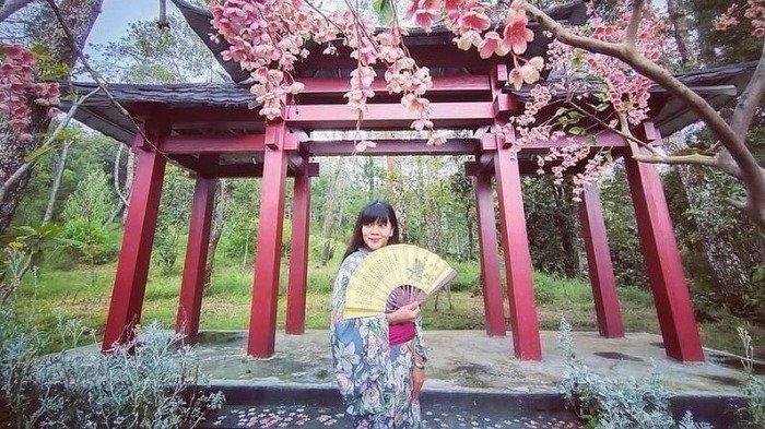 Ilustrasi spot foto Sakura Hills Tawangmangu.