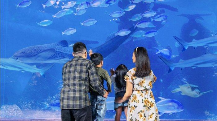 Jakarta Aquarium & Safari.