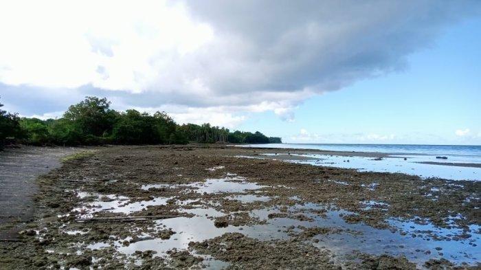 Jalan Amerika yang dibangun oleh tentara Sekutu saat Perang Dunia II di Morotai, tepatnya berlokasi di Desa Joubela sampai Desa Wawama, Kecamatan Morotai Selatan, Kabupaten Pulau Morotai, Maluku Utara, Minggu (13/06/2022).
