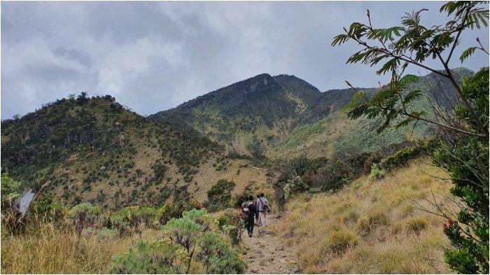 Jalur pendakian menuju puncak Gunung Lawu.