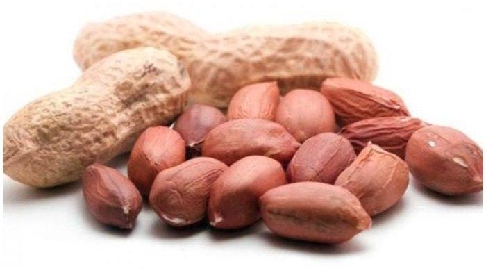 Ilustrasi kacang