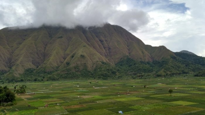 Kawasan Sembalun dari Bukit Selong.