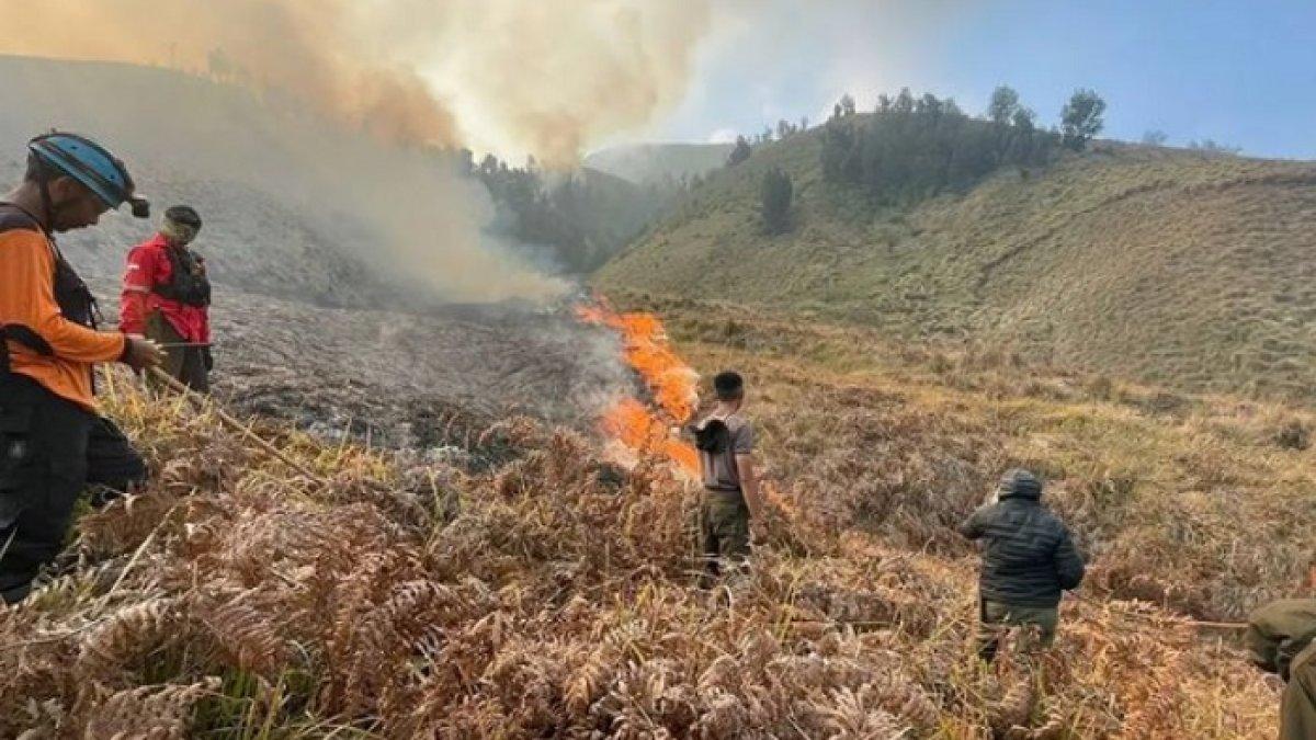 Kebkaran di Gunung Bromo akibat flare prewedding terus meluas hingga melanda Bromo Hillside di Kabupaten Malang dan sempat ciptakan tornado api.