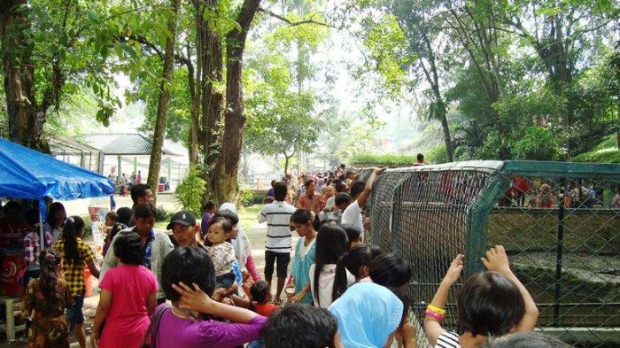 Kebun Binatang Pematang Siantar.