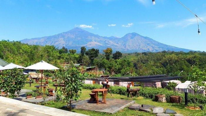 Kebun Pak Budi, tempat wisata di Pasuruan, Jawa Timur.