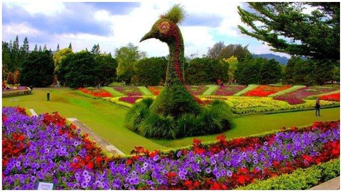 Kebun Raya Bogor, tempat wisata dekat Jakarta yang cocok untuk liburan sekeluarga.