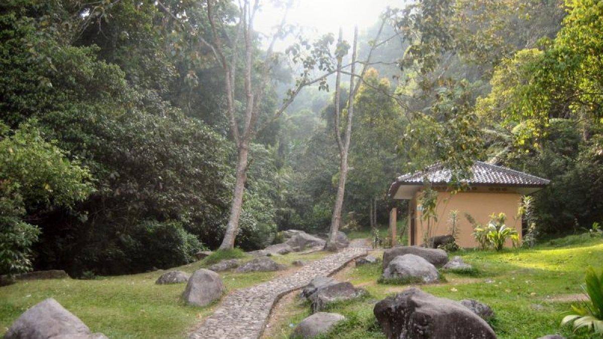 Kebun Raya Cibodas berlokasi di Jalan Kebun Raya Cibodas, Cimacan, Cipanas, Cianjur, Jawa Barat.