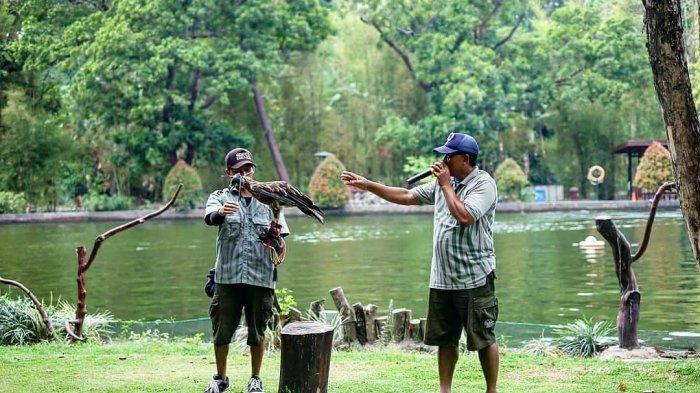 Kegiatan menarik di kebun binatang Gembira Loka.