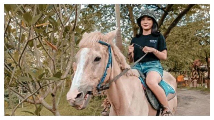 Keliling Jogja Exotarium naik kuda