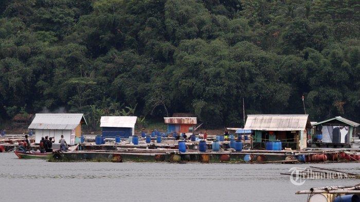 Keramba jaring apung di Waduk Jatiluhur, Purwakarta, Jawa Barat, Minggu (25/12/2016).