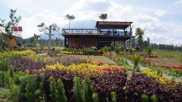 Kledung Park dikelilingi perkebunan yang sengaja ditanam untuk agrowisata.